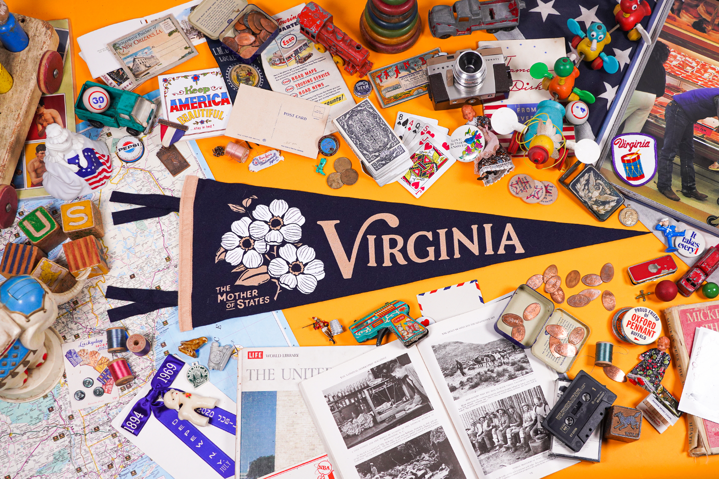 Virginia State Retro Wool Pennant