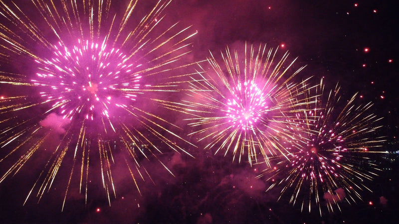 Photo of pink fireworks. Art & Anthropology Press is an indie publisher dedicated to celebrating extraordinary collections.