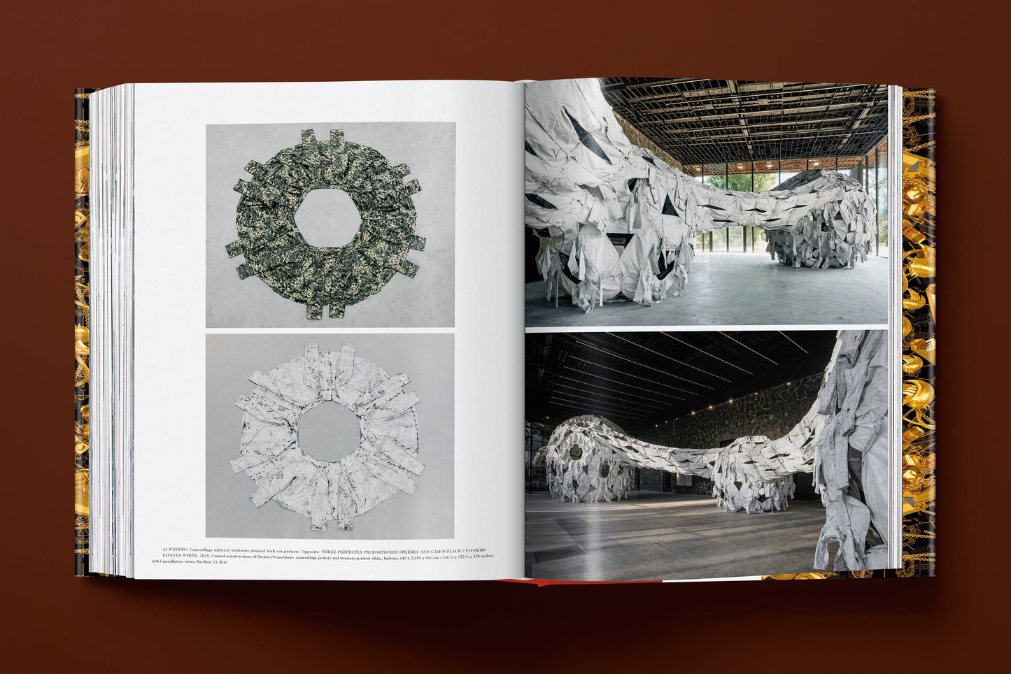 Ai Weiwei. Updated Edition (English, French, German)