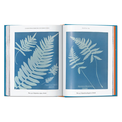 Anna Atkins. Cyanotypes. 45th Ed. (German, French, English)