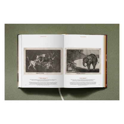 Goya. The Complete Prints (German, French, English)