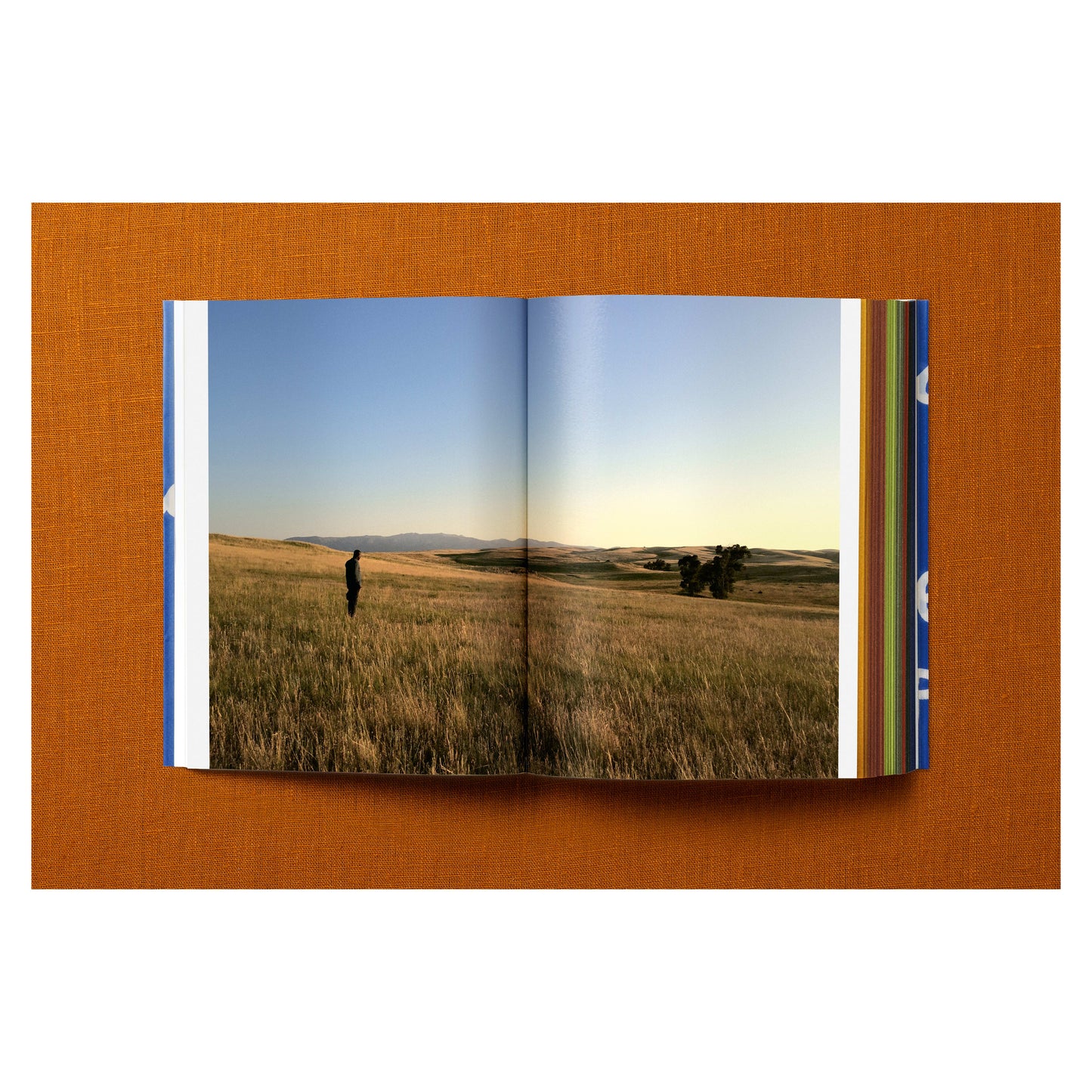 Francis Kéré. Building Stories (English)