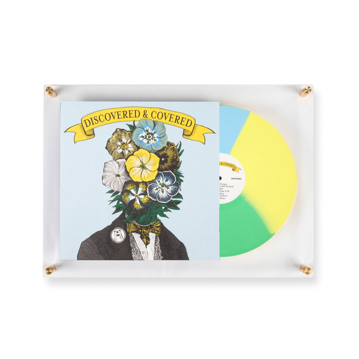 Elegant Record Acrylic Wall Frame
