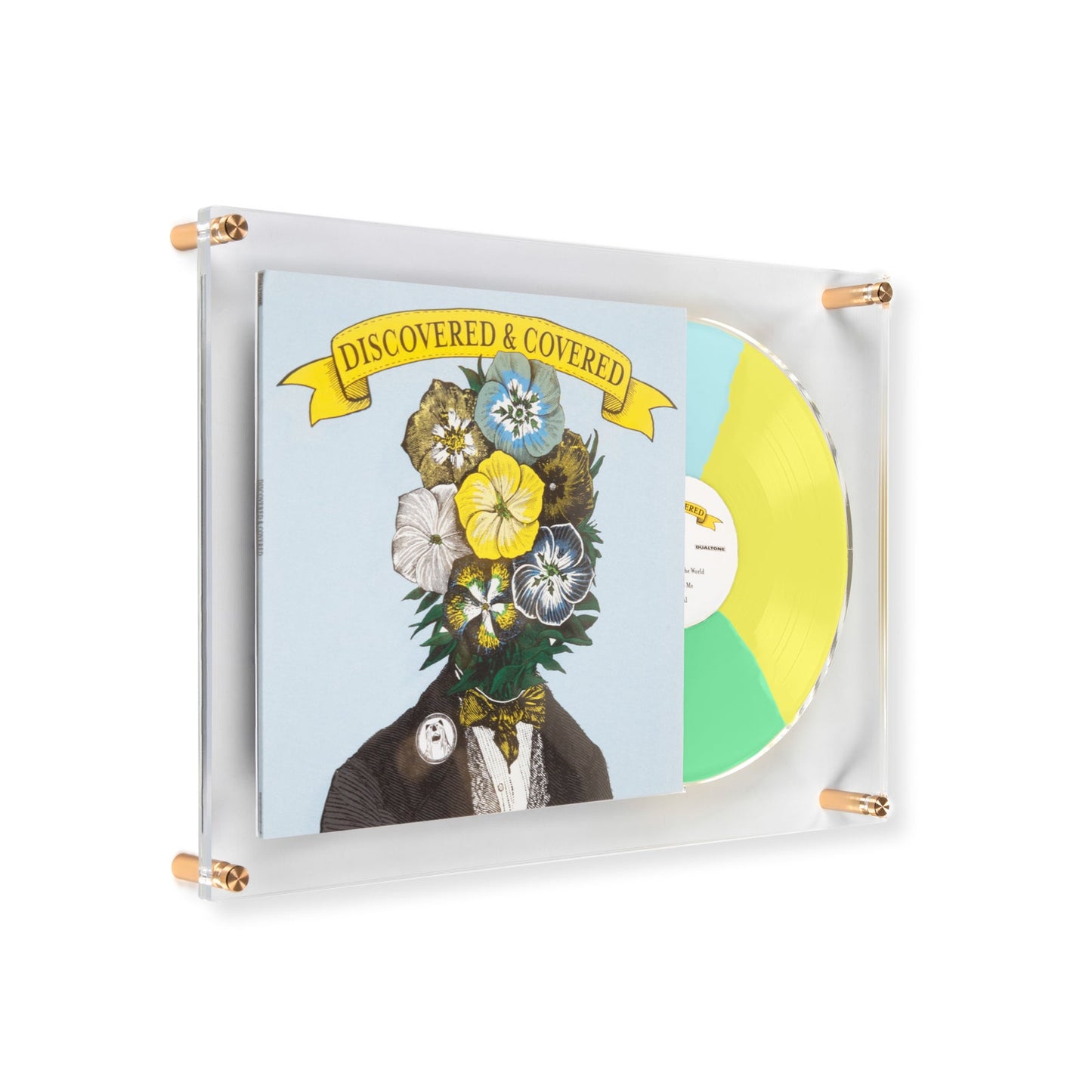 Elegant Record Acrylic Wall Frame