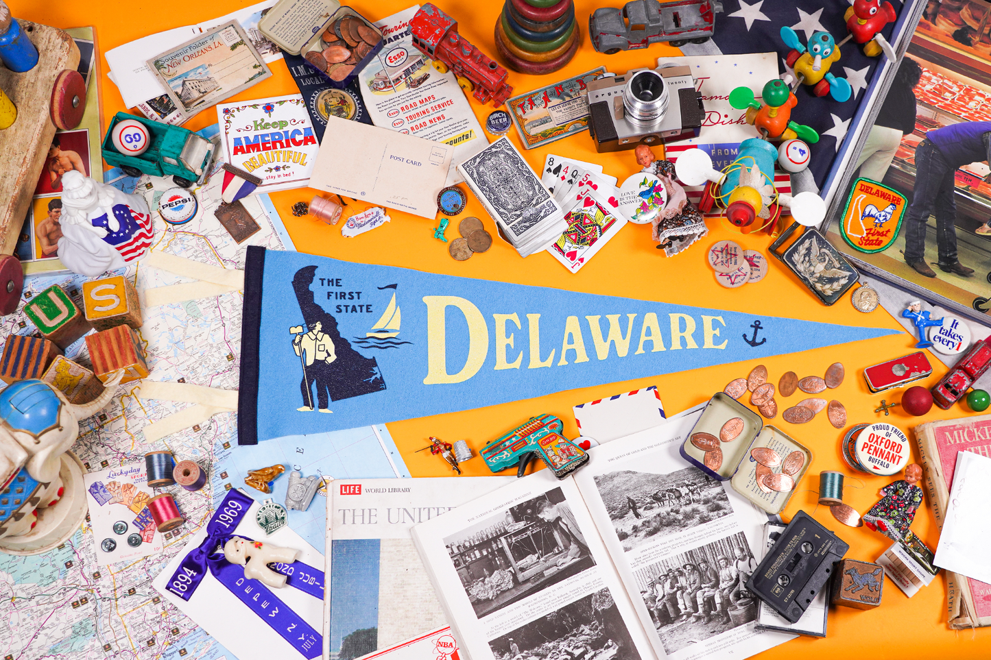 Delaware State Retro Wool Pennant