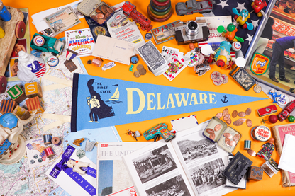 Delaware State Retro Wool Pennant