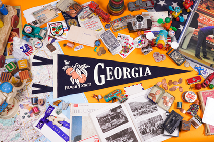 Georgia State Retro Wool Pennant