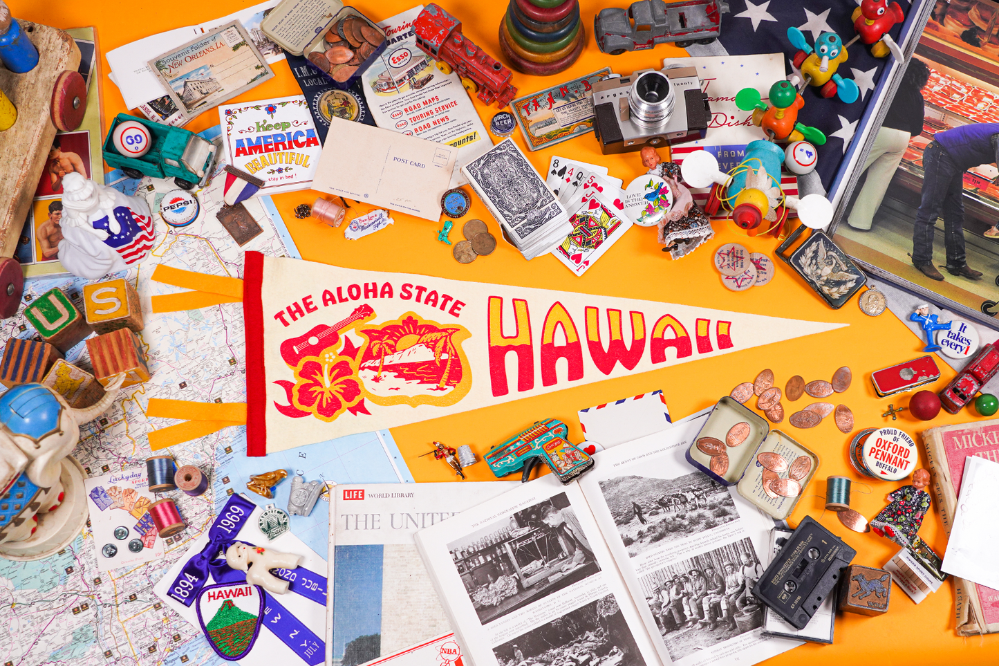 Hawaii State Retro Wool Pennant