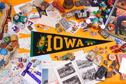 Iowa State Retro Wool Pennant
