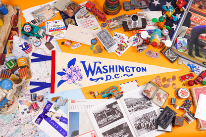Washington D.C. Wool Pennant