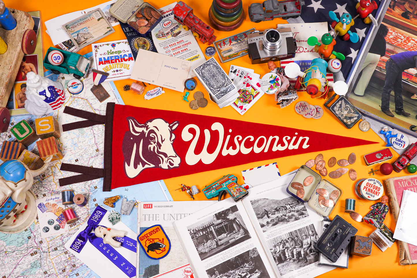 Wisconsin State Retro Wool Pennant