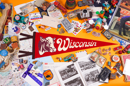 Wisconsin State Retro Wool Pennant