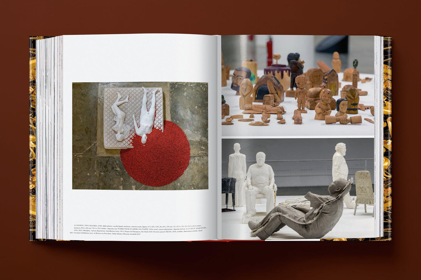 Ai Weiwei. Updated Edition (English, French, German)