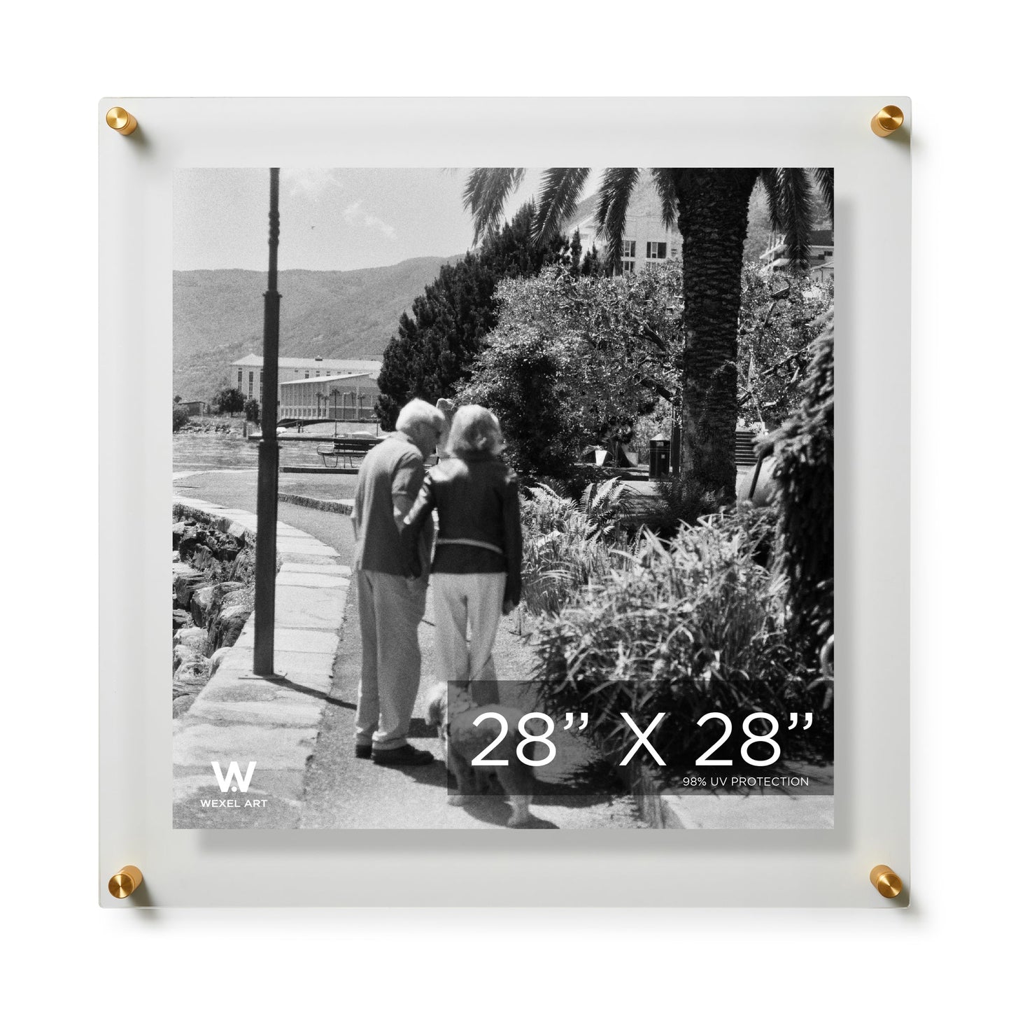 Modern UV-Grade Acrylic Floating Wall Frame