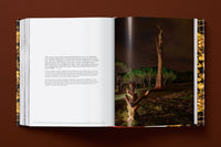 Ai Weiwei. Updated Edition (English)