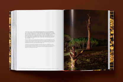 Ai Weiwei. Updated Edition (English, French, German)