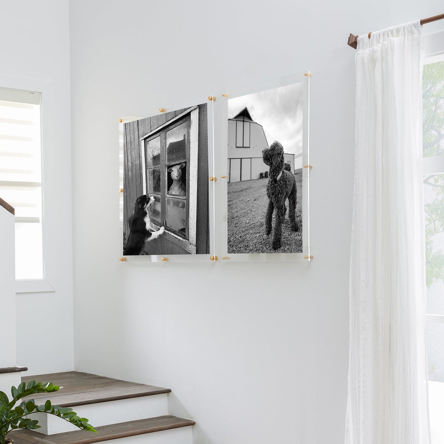 Modern UV-Grade Acrylic Floating Wall Frame
