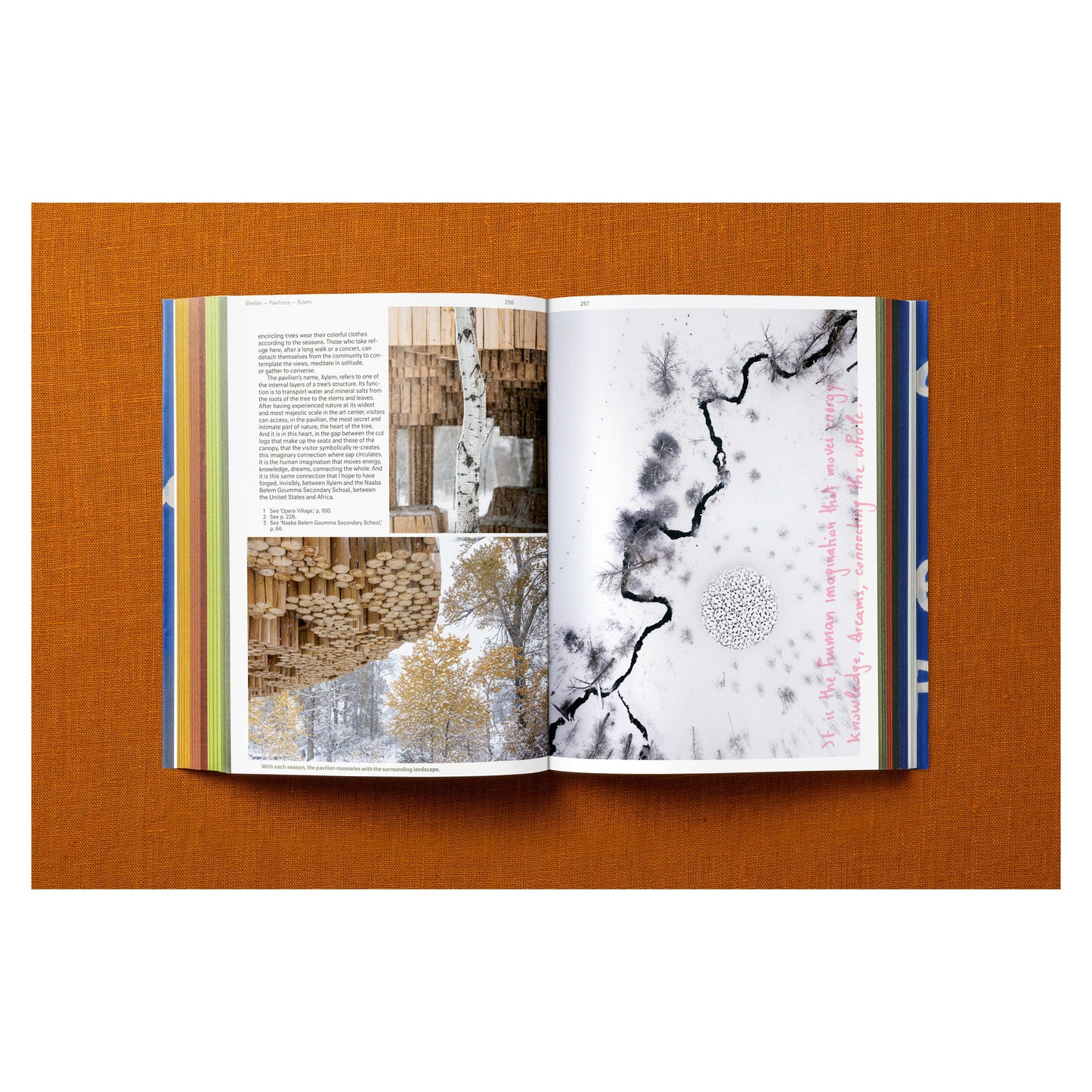 Francis Kéré. Building Stories (English)