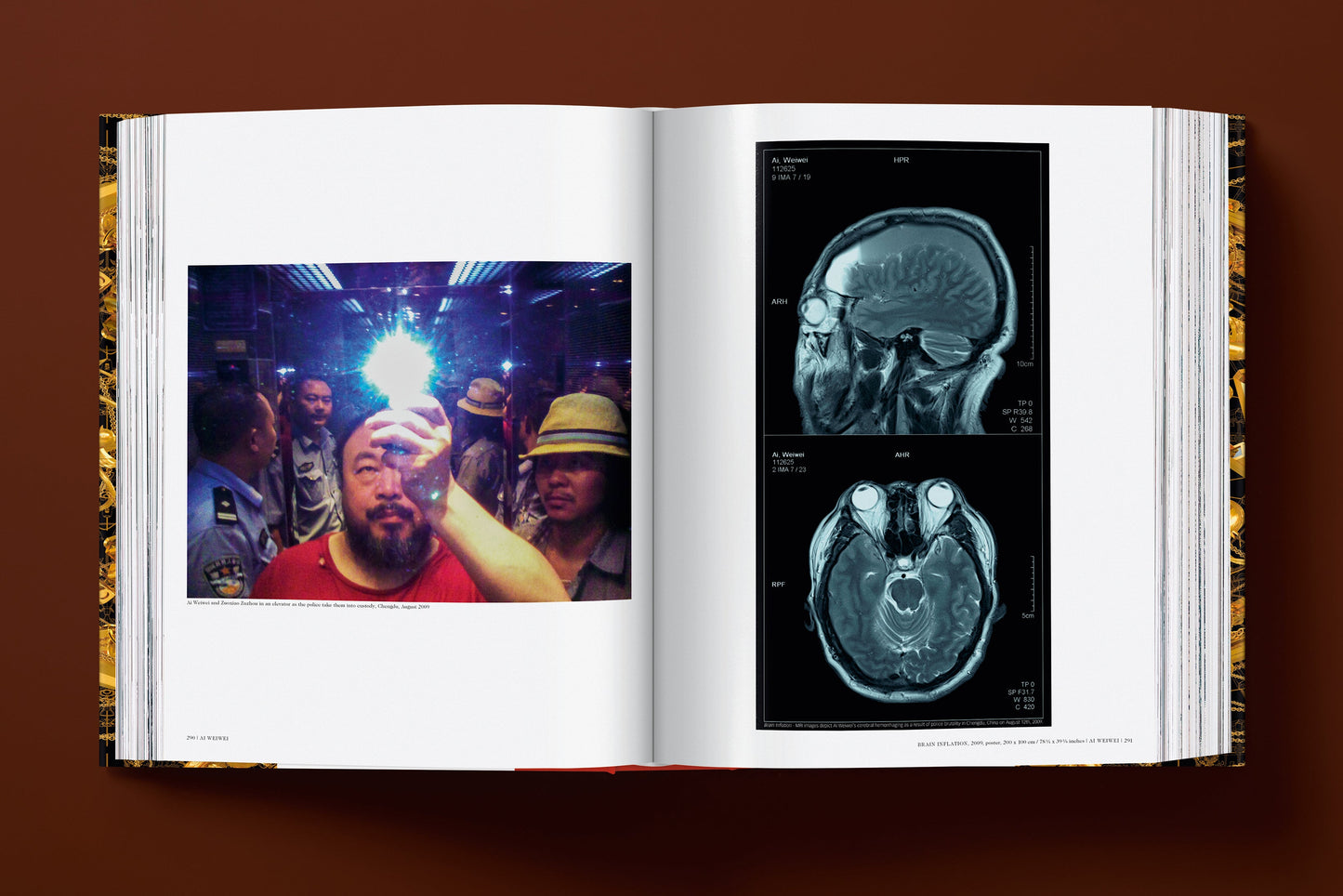 Ai Weiwei. Updated Edition (English, French, German)