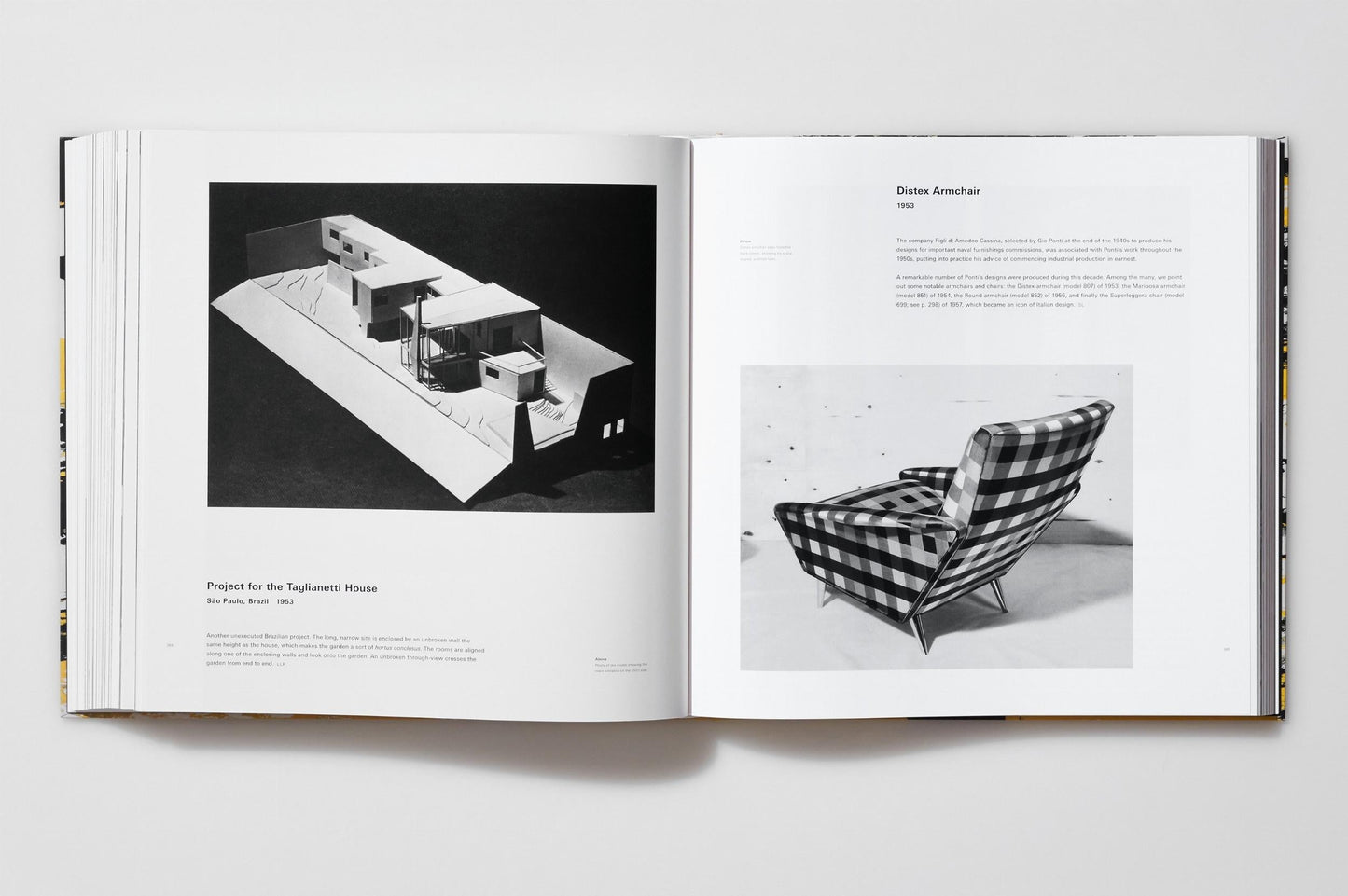 Gio Ponti (English) - XL