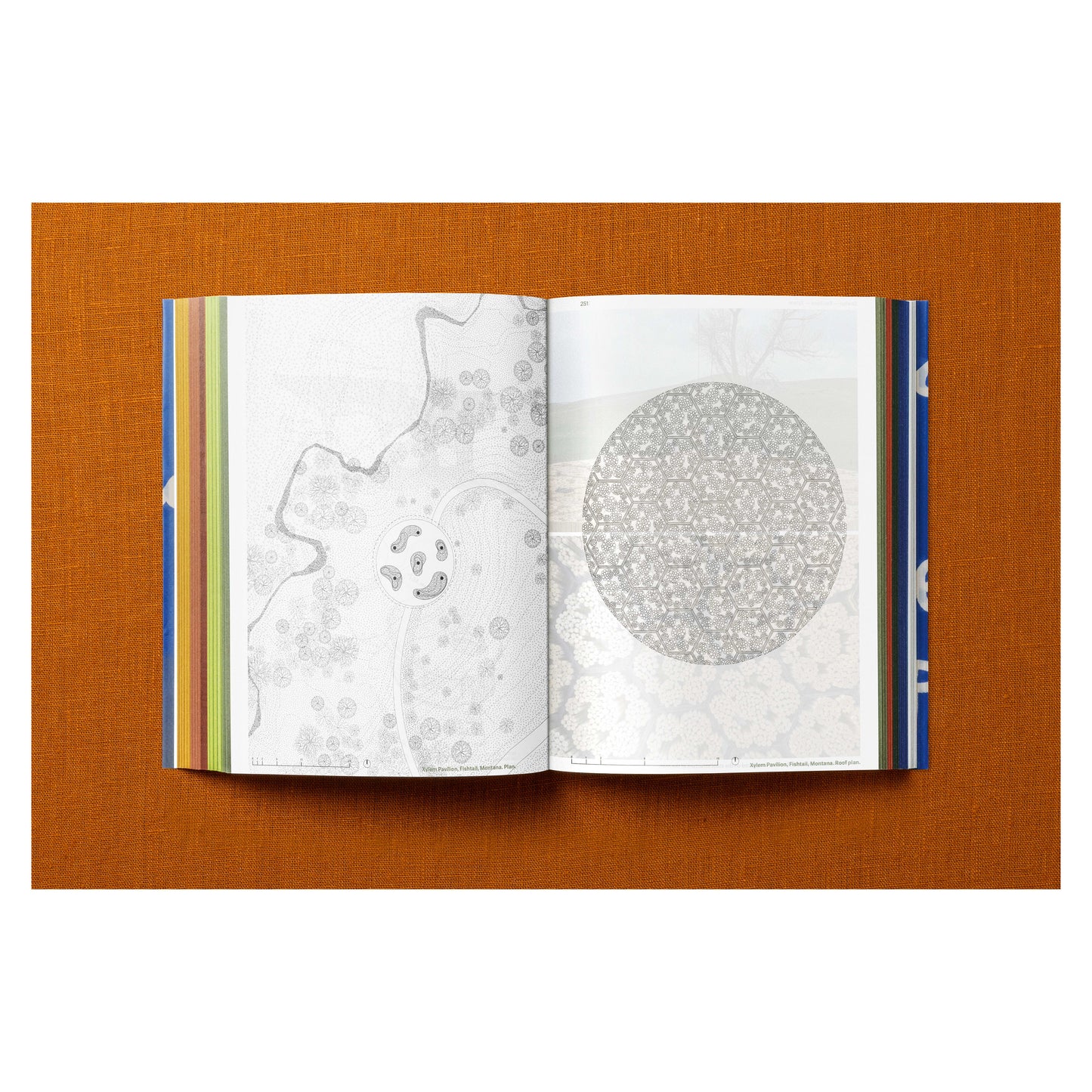 Francis Kéré. Building Stories (English)