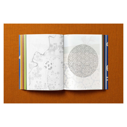 Francis Kéré. Building Stories (English)
