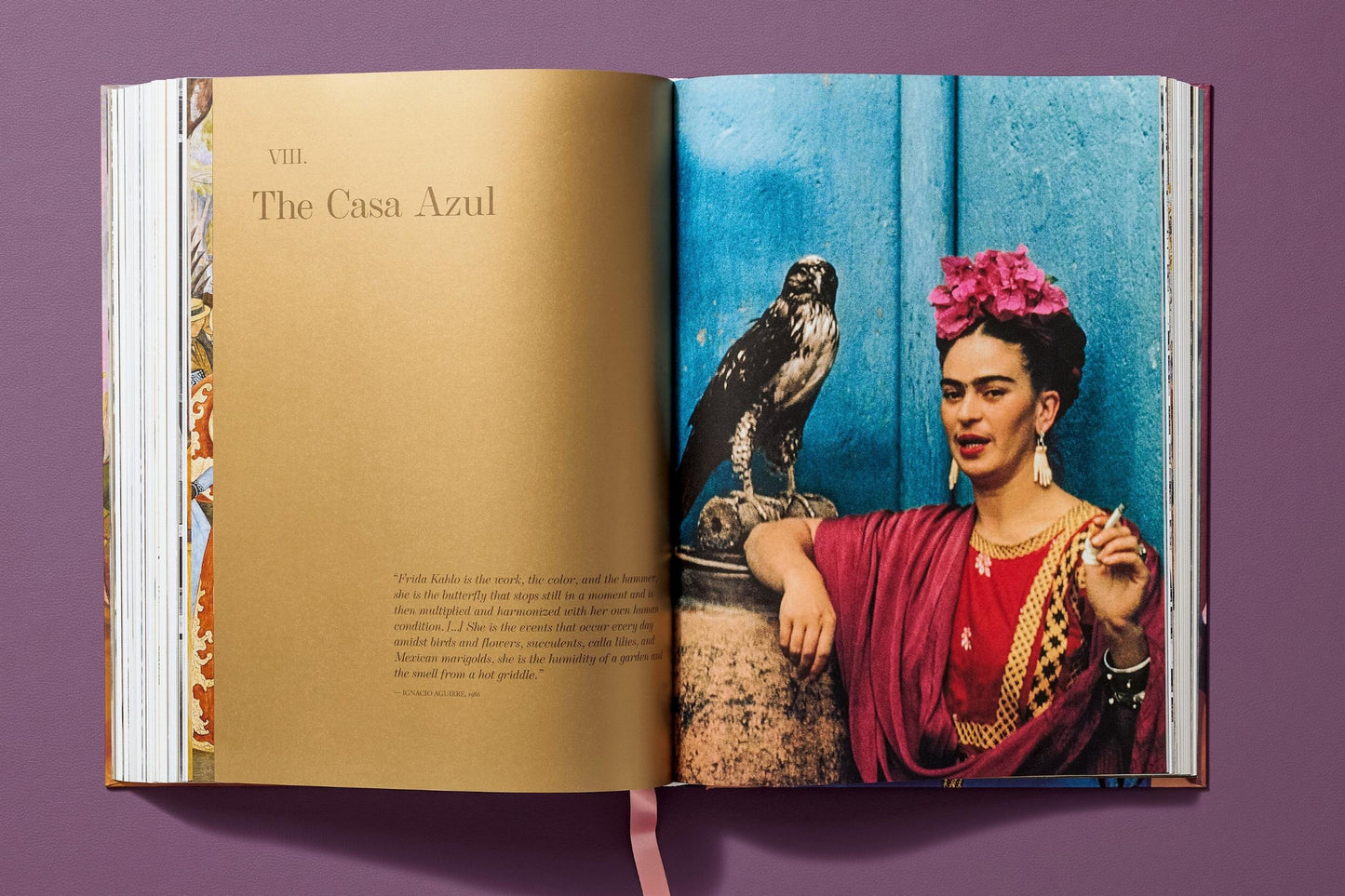 Frida Kahlo. The Complete Paintings (English) - XXL