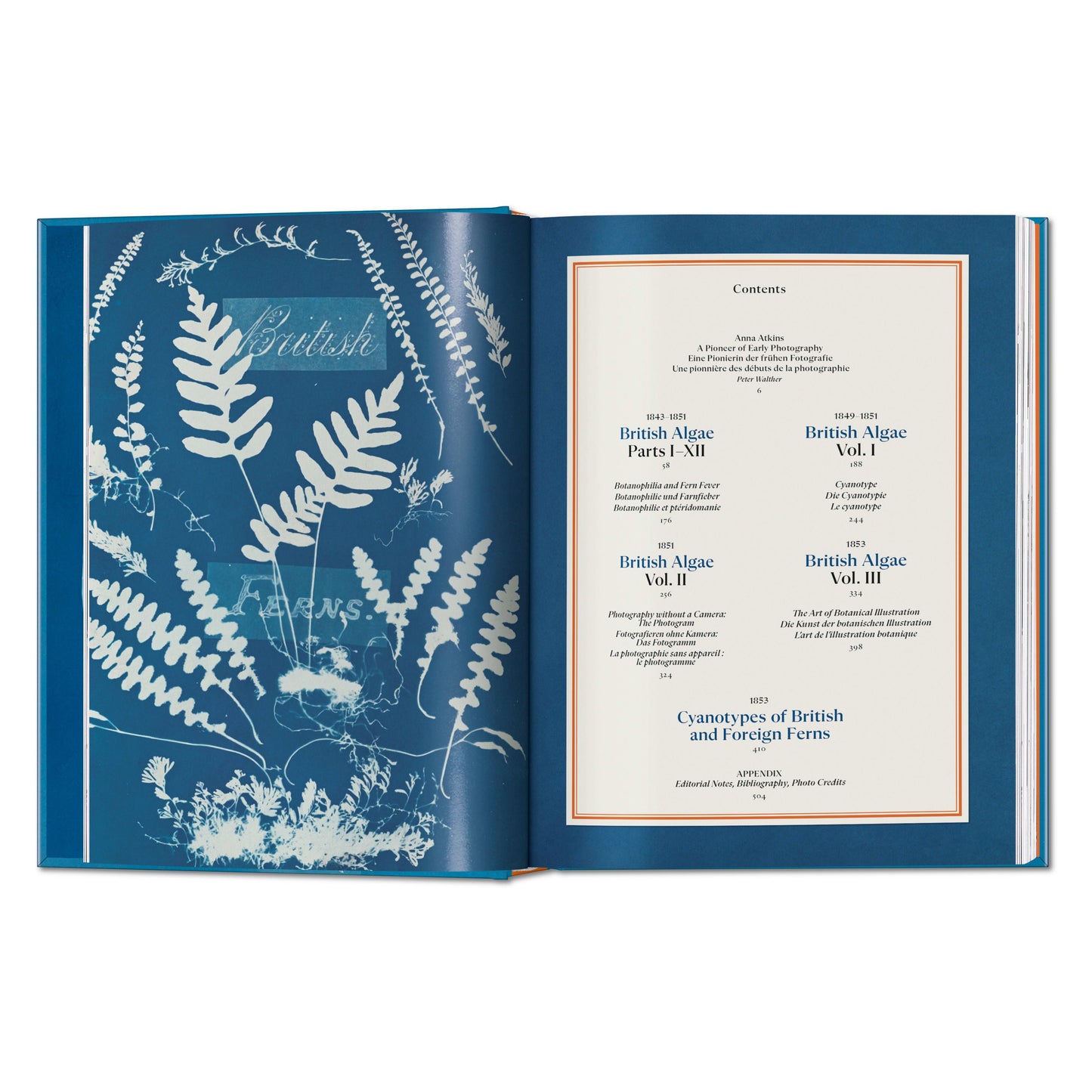 Anna Atkins. Cyanotypes. 45th Ed. (German, French, English)