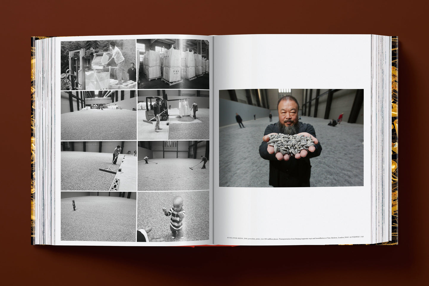 Ai Weiwei. Updated Edition (English, French, German)