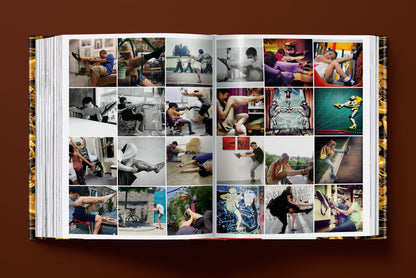 Ai Weiwei. Updated Edition (English, French, German)