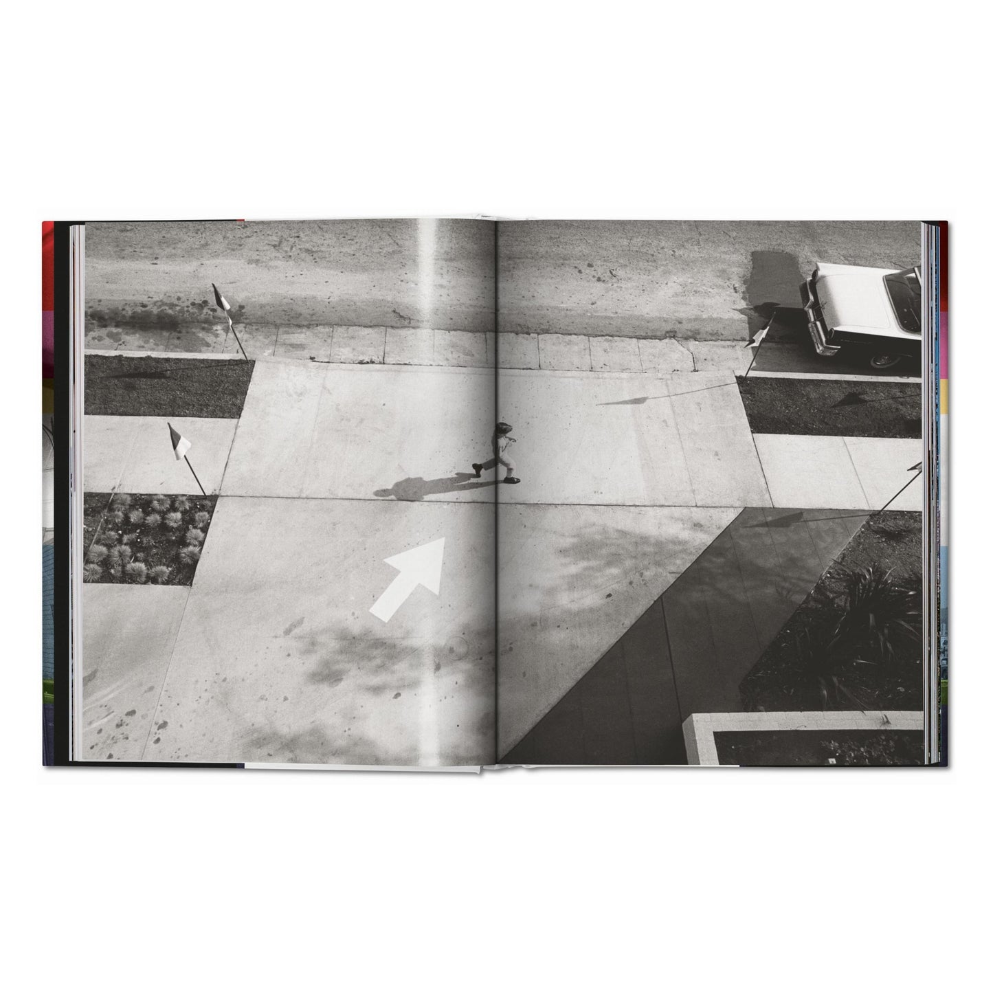 Dennis Hopper. Photographs 1961–1967 (German, French, English)