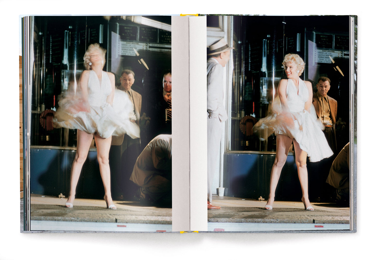 Elliott Erwitt's Kolor