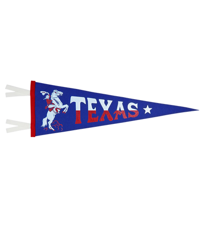 Texas State Retro Wool Pennant