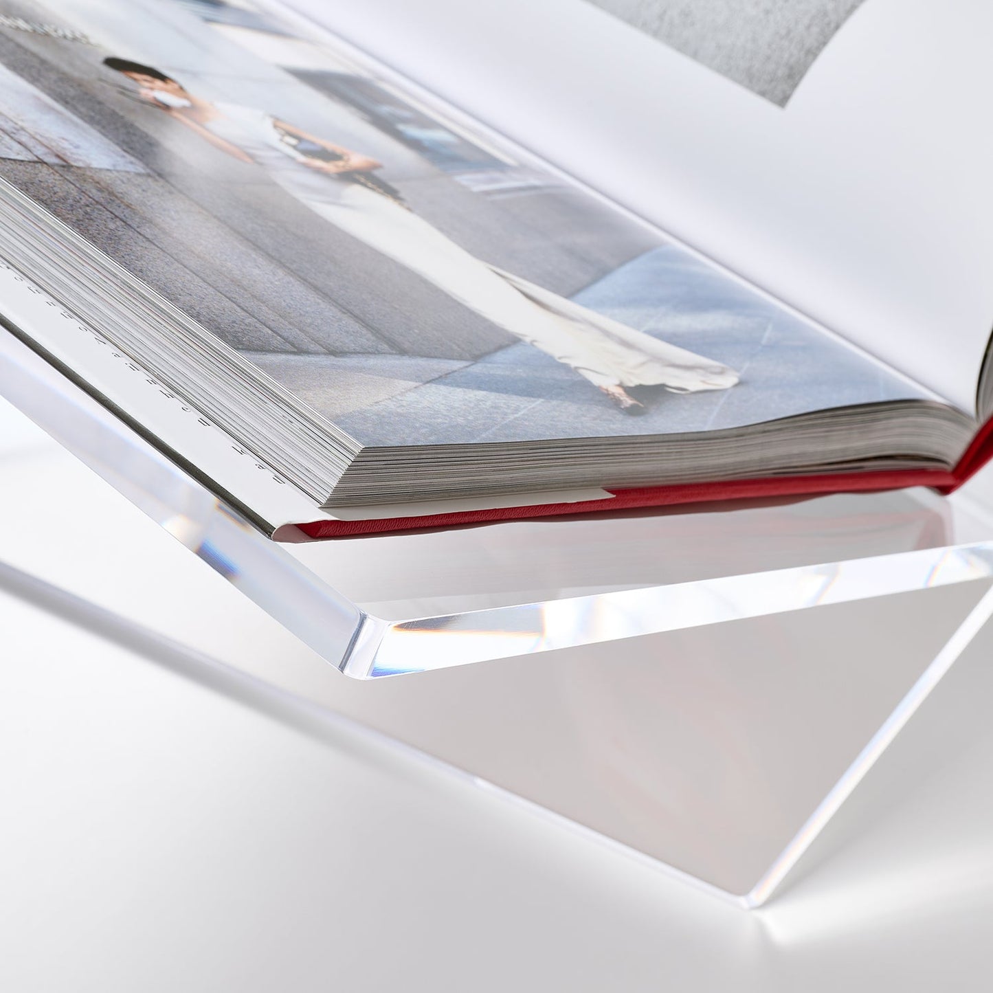 Curator's Bookstand