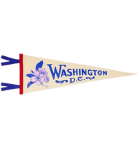 Washington D.C. Wool Pennant