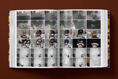Ai Weiwei. Updated Edition (English, French, German)