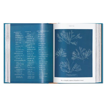 Anna Atkins. Cyanotypes. 45th Ed. (German, French, English)
